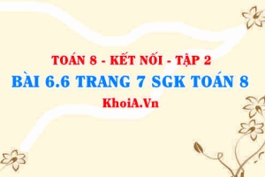 Bài 6.6 trang 7 Toán 8 Kết nối tri thức Tập 2